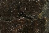 Septarian Dragon Egg Geode - Black Crystals #137950-1